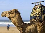 agadir morocco destination image